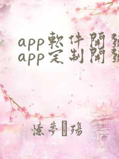 app软件开发app定制开发价格