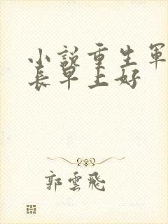 小说重生军婚首长早上好