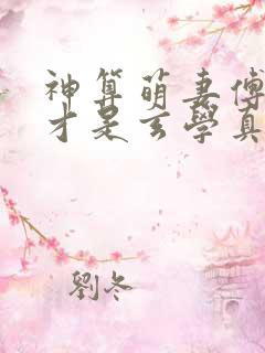 神算萌妻傅太太才是玄学真大佬原著