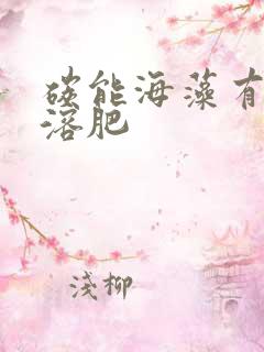 碳能海藻有机水溶肥
