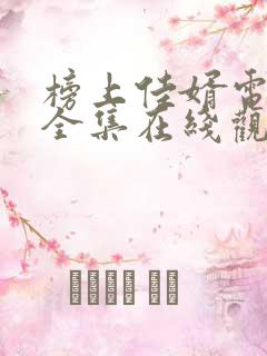 榜上佳婿电视剧全集在线观看免费
