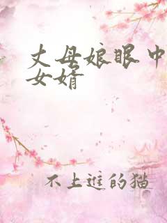 丈母娘眼中的好女婿