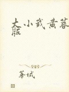 大小武黄蓉改编版