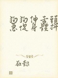 狗狗伸舌头呼吸急促身体抖动