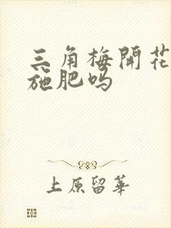 三角梅开花期间施肥吗