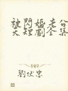 被闪婚老公宠上天短剧全集免费观看