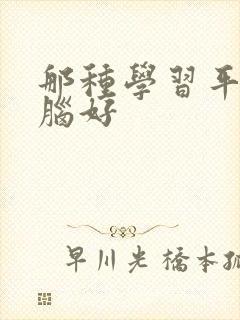 那种学习平板电脑好