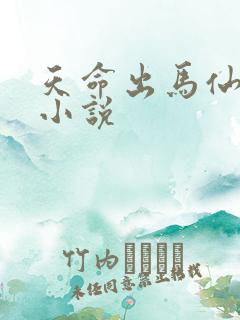 天命出马仙2听小说