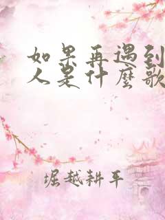 如果再遇到爱的人是什么歌