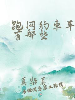 跑网约车平台都有哪些