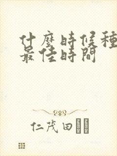 什么时候种黄瓜最佳时间