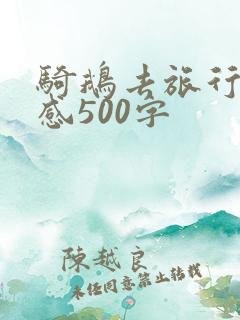 骑鹅去旅行读后感500字