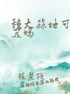 种大蒜地可以重茬吗