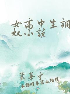 女高中生调教男奴小说