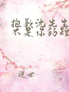 抱歉沈先生孩子不是你的短剧在线免费观看