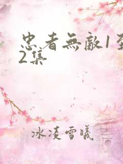 忠者无敌1至42集 忠者无敌1至42集