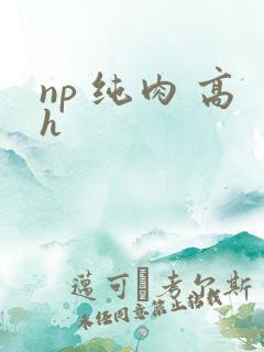 np 纯肉 高h