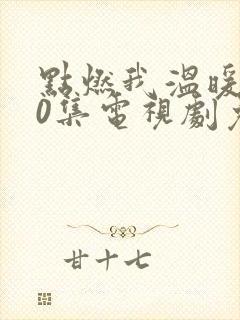 点燃我温暖你40集电视剧免费看全集