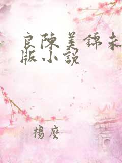 良陈美锦未删减版小说