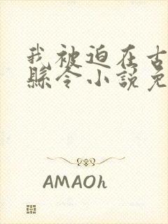 我被迫在古代做县令小说免费阅读