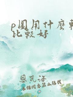 p图用什么软件比较好