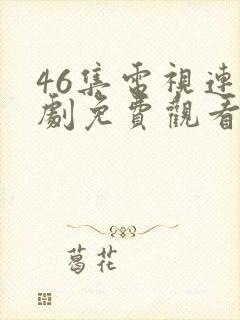 46集电视连续剧免费观看