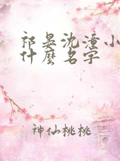 祁晏沈潼小说叫什么名字