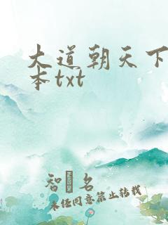 大道朝天下载全本txt