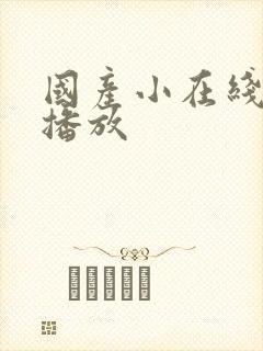 国产小在线av播放