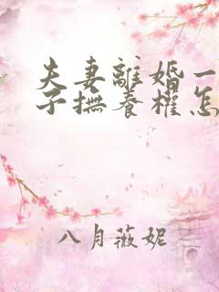 夫妻离婚一个孩子抚养权怎么判定