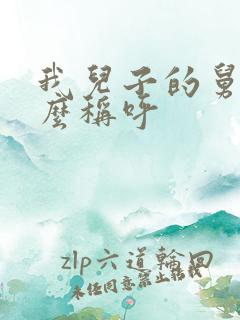 我儿子的舅舅怎么称呼