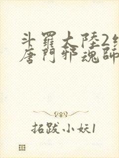 斗罗大陆2绝世唐门邪魂师