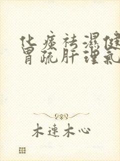 化痰祛湿健脾和胃疏肝理气