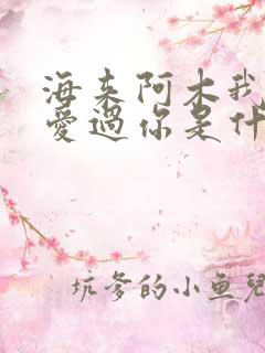 海来阿木我曾经爱过你是什么歌