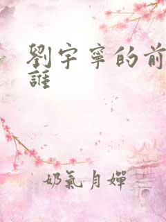 刘宇宁的前妻是谁
