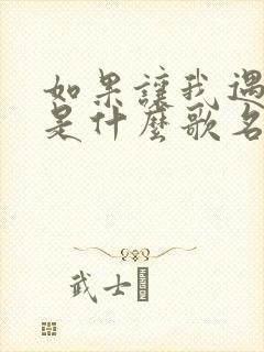 如果让我遇见你是什么歌名