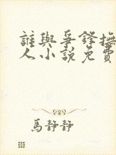 谁与争锋抚琴的人小说免费读
