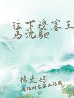 往下边塞玉器骑马沈驰