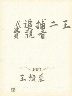 《追捕二王》免费观看