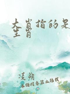 大肖指的是哪个生肖