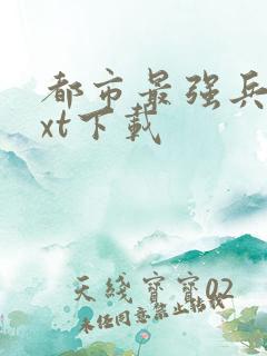 都市最强兵王txt下载