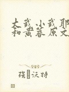 大武小武耶律齐和黄蓉原文