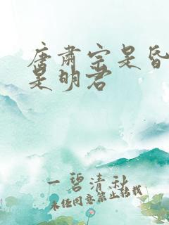 唐肃宗是昏君还是明君