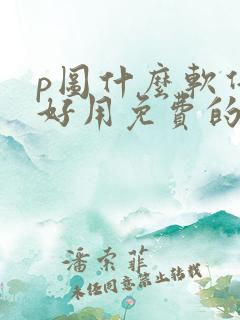 p图什么软件最好用免费的