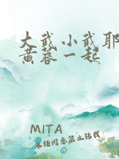 大武小武耶律齐黄蓉一起