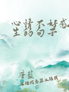 心情不好感悟人生的句子