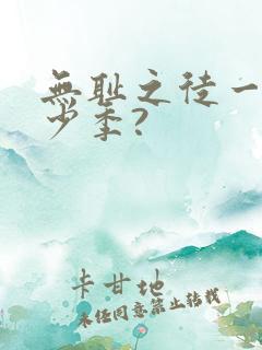 无耻之徒一共多少季?