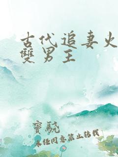 古代追妻火葬场双男主
