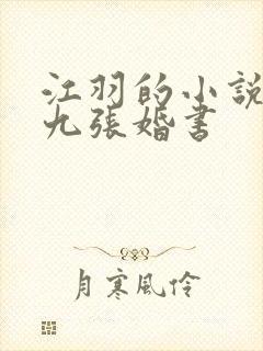 江羽的小说开局九张婚书