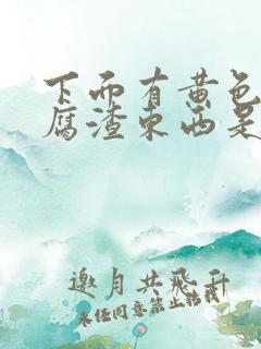 下面有黄色的豆腐渣东西是什么